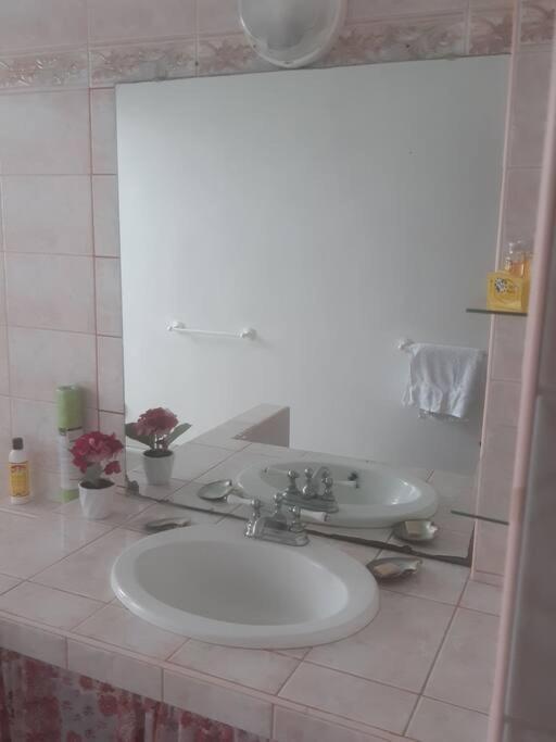 Revolution Tahiti Apartman Papeete  Kültér fotó
